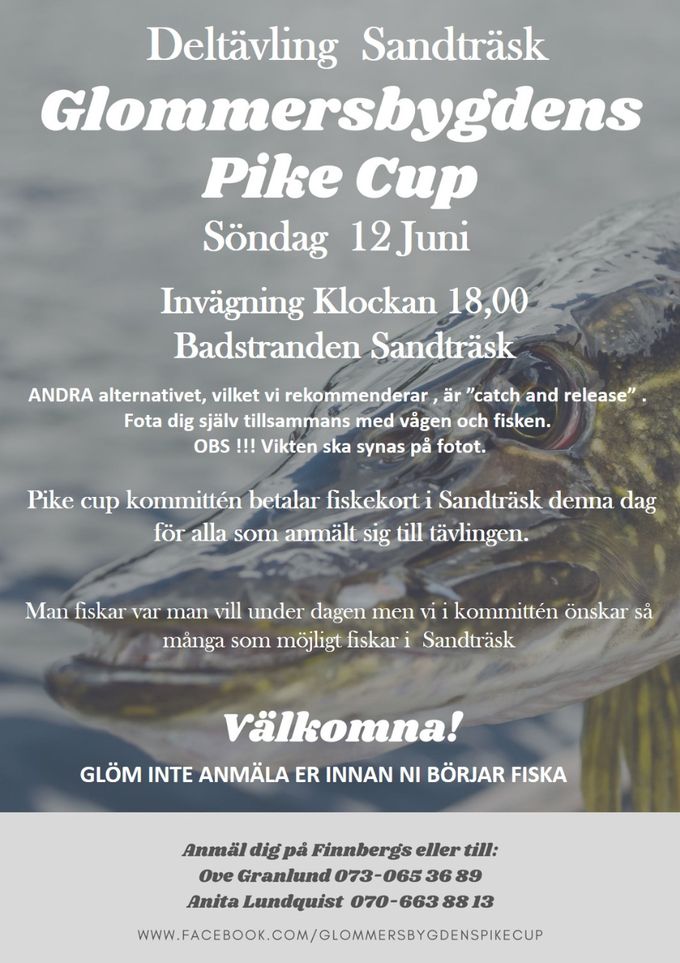 Priser i  Deltävling Sandträsk
2022-06-12

1,a pris  Junior		200:- 	Presentkort på Finnbergs
2,a pris  Junior		100:- 	Presentkort på Finnbergs
3,e pris  Junior		100:- 	Presentkort på Finnbergs

                                                                   1,a pris Dam		  100:-  Presentkort på Finnbergs

                                                                  1,a pris Herr		            100:- 	Presentkort på Finnbergs

Alla övriga som väger in en gädda får ett pris från prisbordet


Välkomna !
