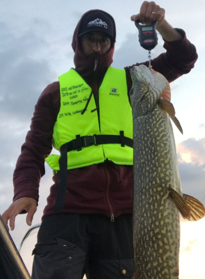 Mikael Harpa med en bjässe på 5,93kg och 92cm lång som fångades i Sandselet den 29/6! Snyggt jobbat! 